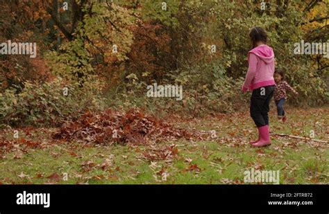 Pile Of Leaves Jump Stock Videos And Footage Hd And 4k Video Clips Alamy