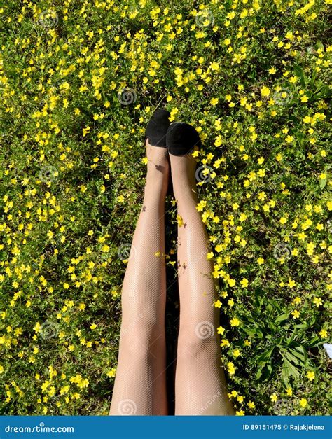 Woman Legs Surrounded By Flowers Stock Image Image Of Knees Beauty