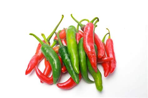 Pile Of Green Chili Peppers Stock Photo Image Of Pepper Vegetable