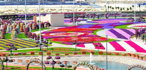 We did not find results for: » Dubai Miracle Garden has the record in Guinness Book of ...