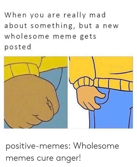 When You Are Really Mad About Something But A New Wholesome Meme Gets