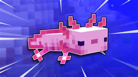 Everything You Need To Know About Axolotls In Minecraft 117 Youtube