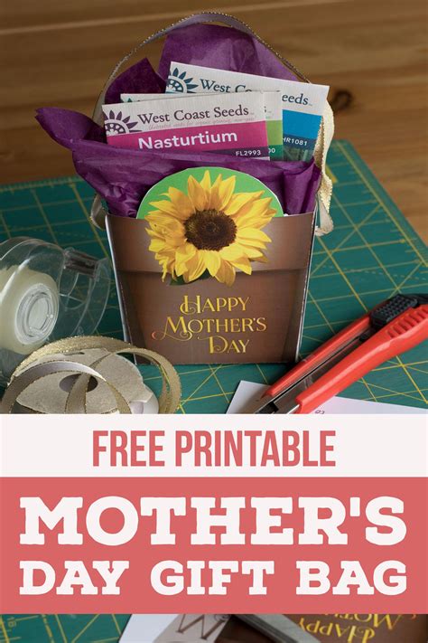 Mothers Day T Bag Mothers Day Crafts For Kids Flower Seeds