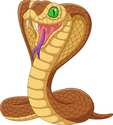 Cartoon King Cobra Snake On White Background 8386716 Vector Art At Vecteezy