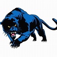 The Blue Panther _ - YouTube