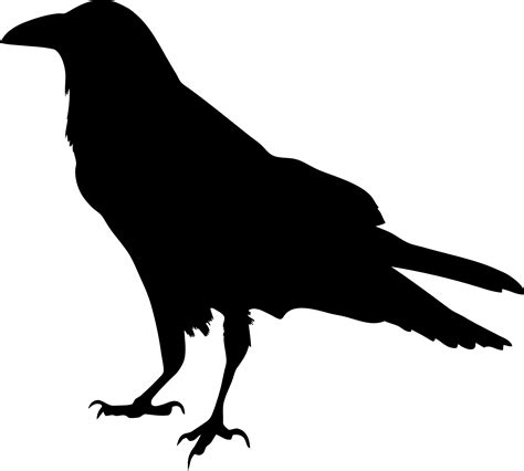 Raven Silhouette Vector Art Image Free Stock Photo Public Domain