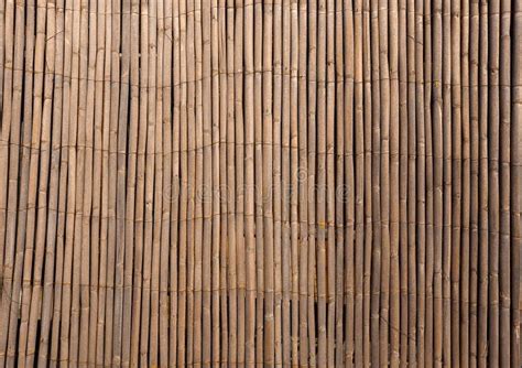 Abstract Background Bamboo Wall Texture Stock Image Image Of