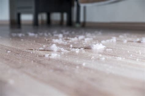 Dust On The Wood Floor Stock Image Image Of Hair Dust 90925007