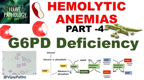 Hemolytic Anemias Part G PD Deficiency Pathophysiology Morphology Clinical Features YouTube