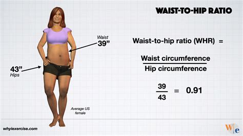 Waist Circumference Examining The Hidden Dangers Of Abdominal Obesity