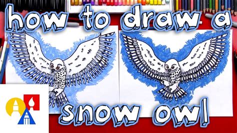 How To Draw A Realistic Snow Owl 33
