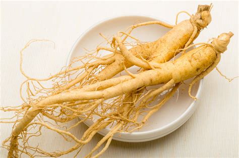 American Ginseng (A Panax Panacea) - Be Fit Again