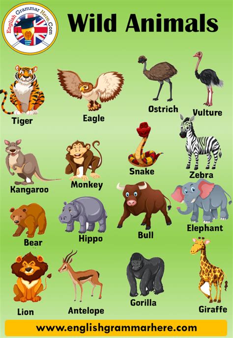 20 Wild Animals Name 20 Different Animals And Example Sentences