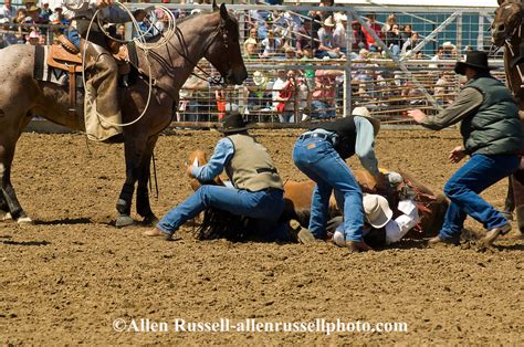 Rodeo Bareback Bronc Rider Is Rescued After Bronc Flips Miles City