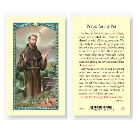 Saint Francis Xavier Novena Prayer Laminated Holy Card 25 Pack Buy