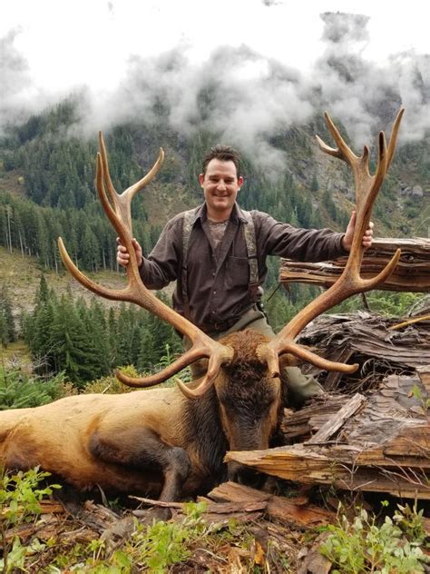 Roosevelt Elk Hunting North Vancouver Island Hunting Guides