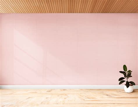 Plant Against A Pink Wall Mockup Free Image By Pink