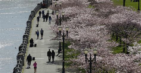 The 10 Best Us Cities For Urban Forests