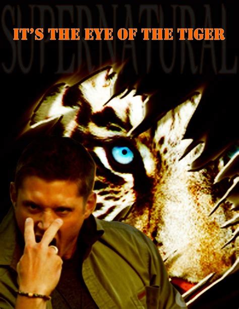 Its The Eye Of The Tiger Eyes Tiger Eye Supernatural