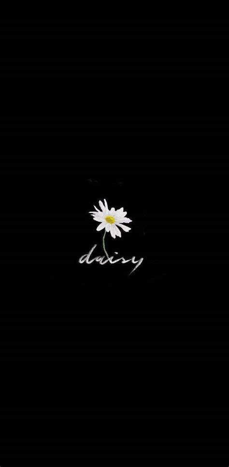 Top Daisy Aesthetic Wallpapers Full Hd K Free To Use