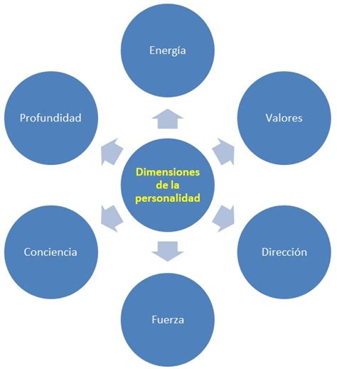 Enfoques psicológicos para comprender tu personalidad