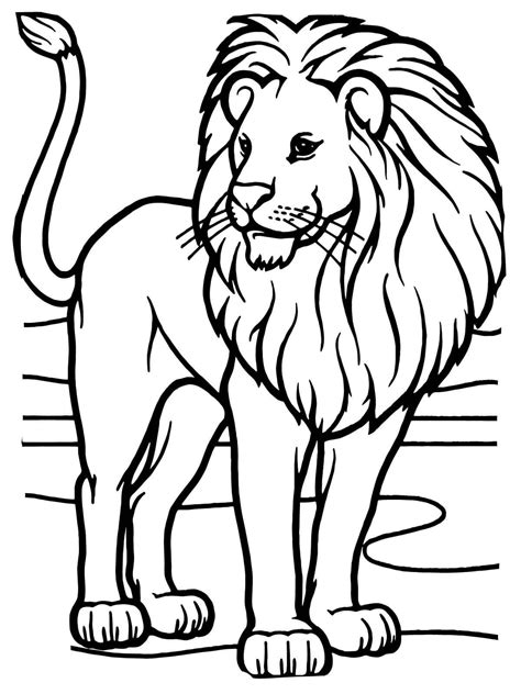 Male African Lion Coloring Pages For Kids Fts Printable Lions And