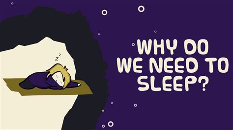 Why We Need Sleep