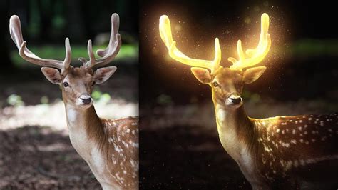 Glowing Deer Photo Manipulation Effect Timelapse Speed Art Youtube