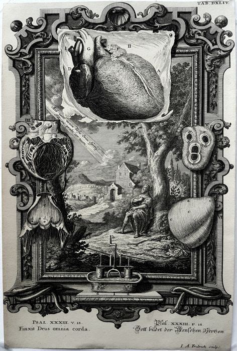 Iafridrich 18th Century Surreal Scientific And Biblical Catawiki