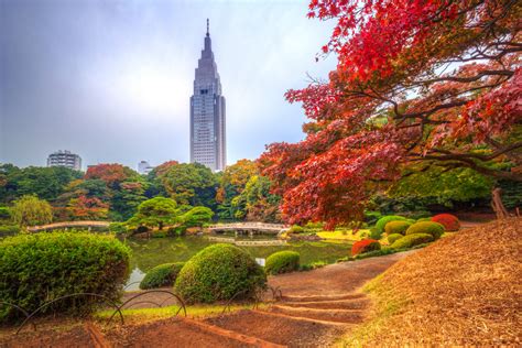 Qué Visitar En Tokio 10 Lugares Imprescindibles 101viajes