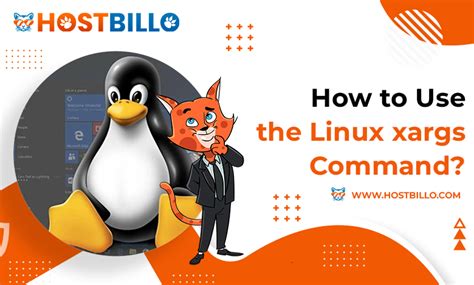 How To Use The Xargs Command In Linux Hostbillo