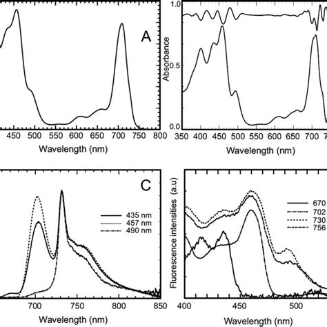 Absorption And Fluorescence Spectra Of Purified Ps I Complexes A