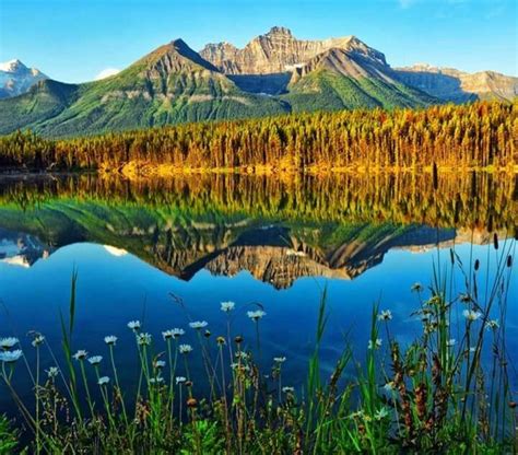 Banff National Park National Parks Beautiful World Beautiful Places
