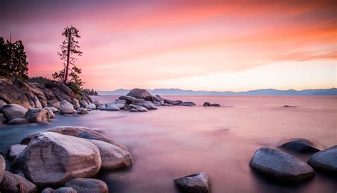 Download Tree Turquoise Lake Nature Lake Tahoe 4k Ultra Hd Wallpaper