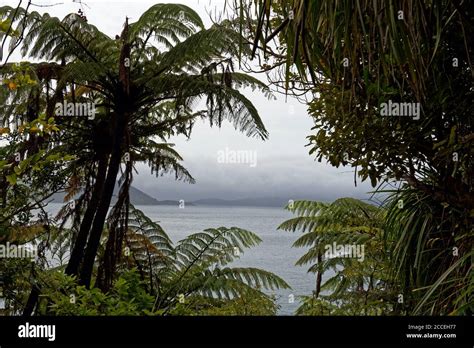Ship Cove Waterfall Walk In Queen Charlotte Sound New Zealand Stock