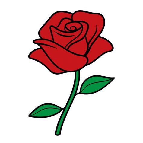 380 Cartoon Of The Red Rose Roses White Beauty Beautiful Leaf Leaves