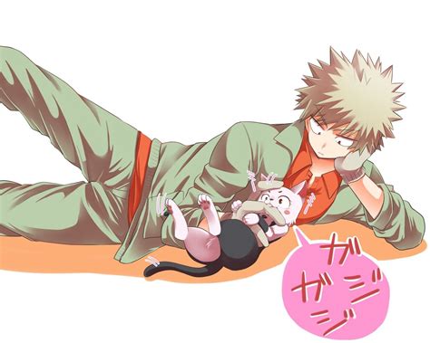 Bakugou Katsuki And Cat Uraraka Ochako Hero Poster Boku No Hero