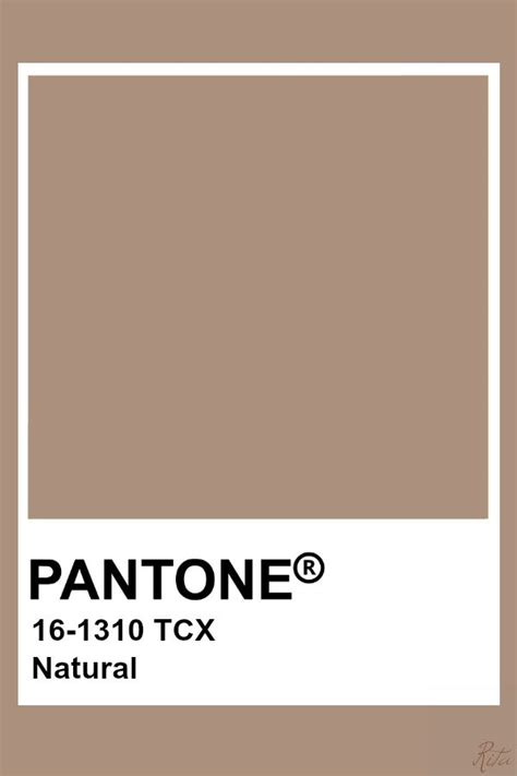 Pantone Natural Pantone Palette Paleta De Cores Bege Cores