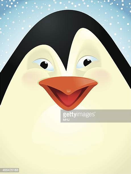 Laughing Penguin High Res Illustrations Getty Images