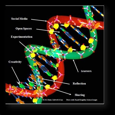 Transforming Learning A Dna Metaphoric Model Download Scientific
