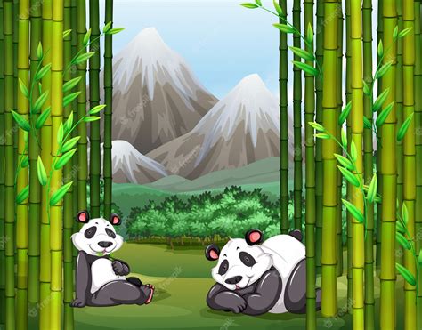 Free Vector Pandas And Bamboo Forest