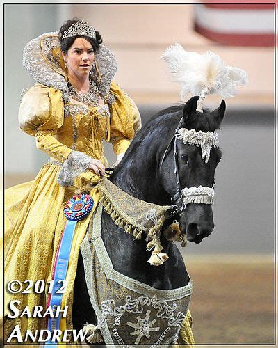 Friesian In Costume Horse Costumes Horse Costume Ideas Most