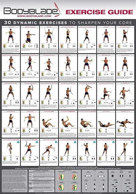 Whole Body Vibration Exercise Poster Bc Vibrant Health 51 Off