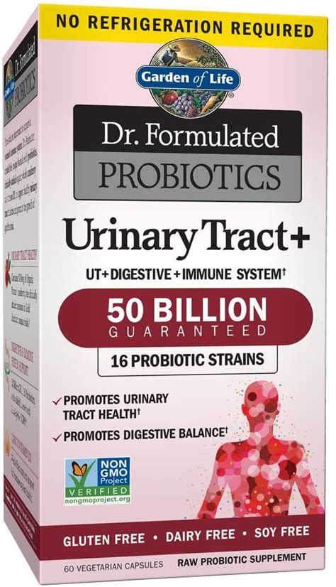 Best Probiotic For Uti Treatment 2023 Top Probiotics Supplement For Utis