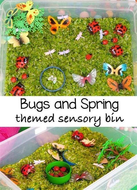Bugs And Spring Themed Activity Artofit