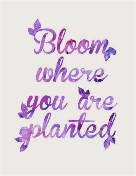 Enjoy The Kiss Purple Quotes Lavender Quotes Flower Quotes