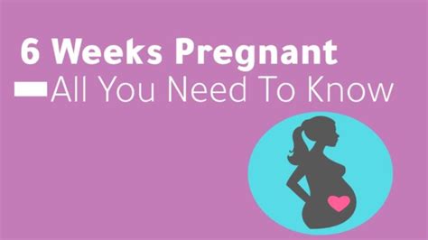 Can Precum Cause Pregnancy Full Fact Sheet Pregnancy Health Care Tips