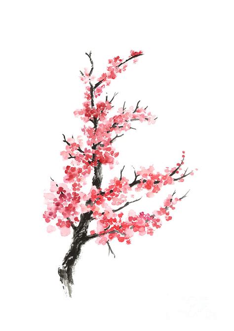 Cherry Blossom Branch Watercolor Poster Painting By Joanna Szmerdt Pixels