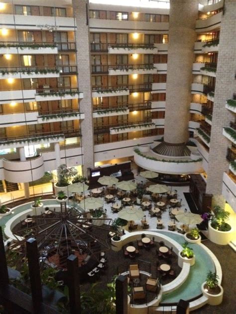 Embassy Suites By Hilton Orlando International Drive Icon Park 8250