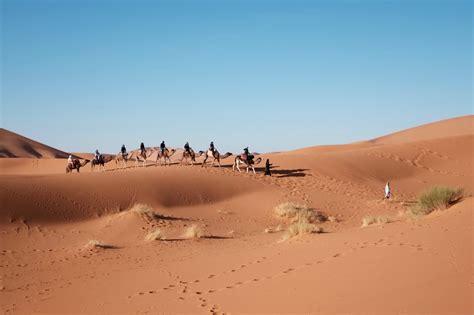 Gratis Afbeeldingen Landschap Zand Dor Woestijn Duin Kameel